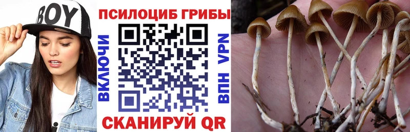 Псилоцибиновые грибы Cubensis  Семёнов 